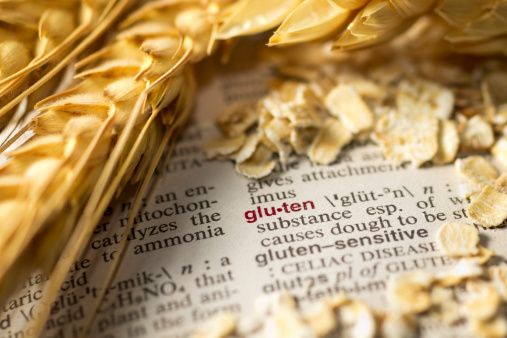 The definition of gluten as seen in a medical dictionary is surrounded by wheat and oatmeal.