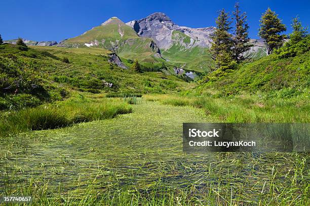 Alpine See Lake Stockfoto und mehr Bilder von Alpen - Alpen, Baum, Berg