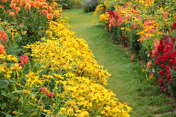 istock Flower garden in summer 157740673