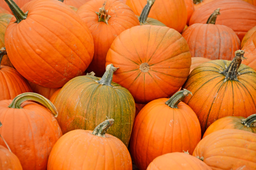 Decorative pumpkins in a basket on the counter of a farm store