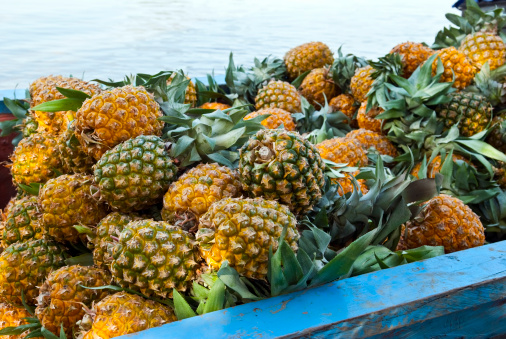 Cargo of pineapples on a boat traveling on the Magdalena River in Mompox, Colombia