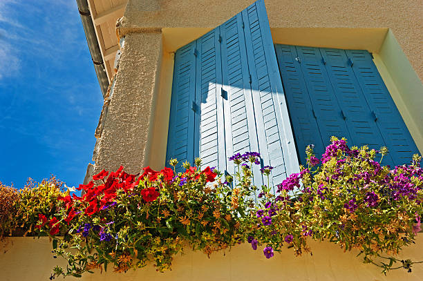 Blue window shutters on a French Gite  cramant stock pictures, royalty-free photos & images