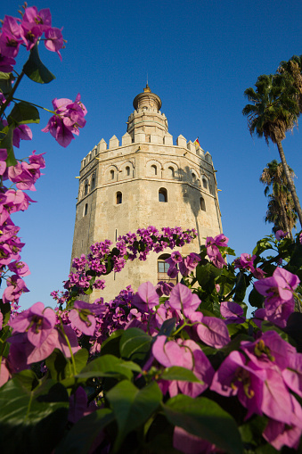 View of the imposing Alfonsina tower of the medieval castle of Lorca, Region of Murcia, Eepaña, in daylight