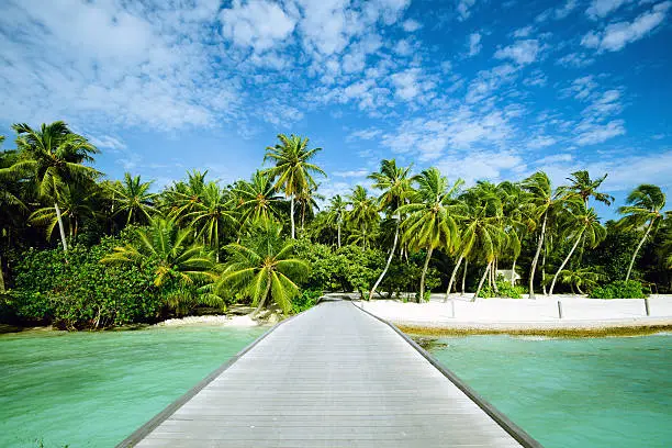 The Wooden Bridge Maldives Beach