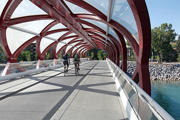 Cyclist man black with helmet and bicycle on lake bridge in a sunny blue sky day.