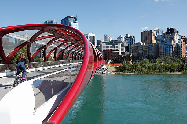 cycling die peace bridge nach von calgary - financial district calgary business built structure stock-fotos und bilder