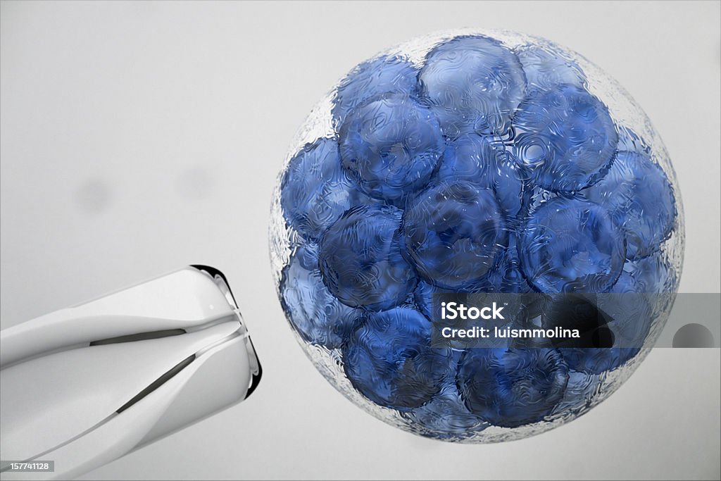 Cell  Stem Cell Stock Photo