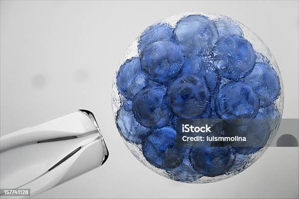 Cell Stock Photo - Download Image Now - Stem Cell, Biological Cell, Cancer Cell