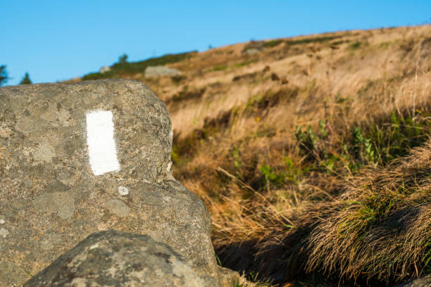 The white strip marking the path of the Appalachian Trail, here as it passes over Round Bald at Roan Mountain, TN/NC
