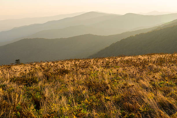 山の日の出でアパラチア - roan mountain state park ストックフォトと画像