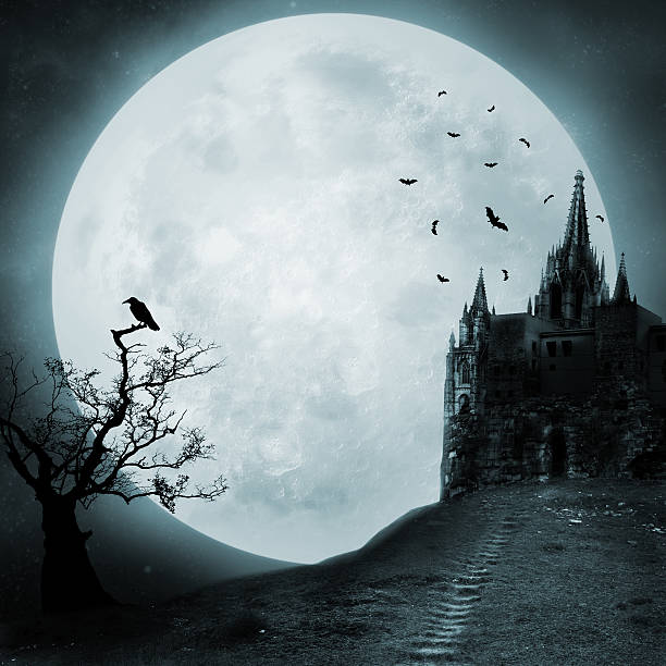 Old castle Bats in the empty town. Against the background of a Gothic castle full moon photos stock pictures, royalty-free photos & images