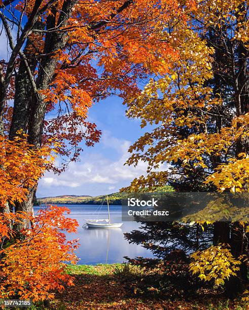 Sailboat On Lake Framed By Vibrant Autumn Foliage Stock Photo - Download Image Now - Michigan, Autumn, Upper Peninsula
