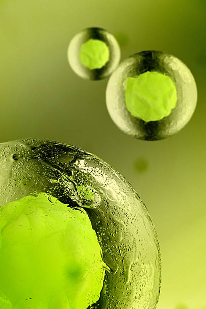 Stem Cell Detailed Image of  Stem Cell high scale magnification stock pictures, royalty-free photos & images