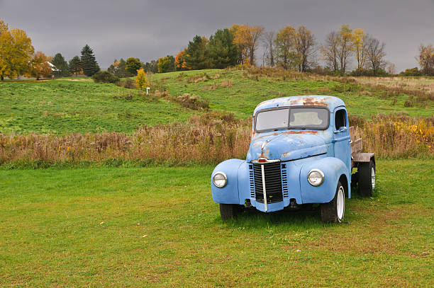 old pickup truck in forest