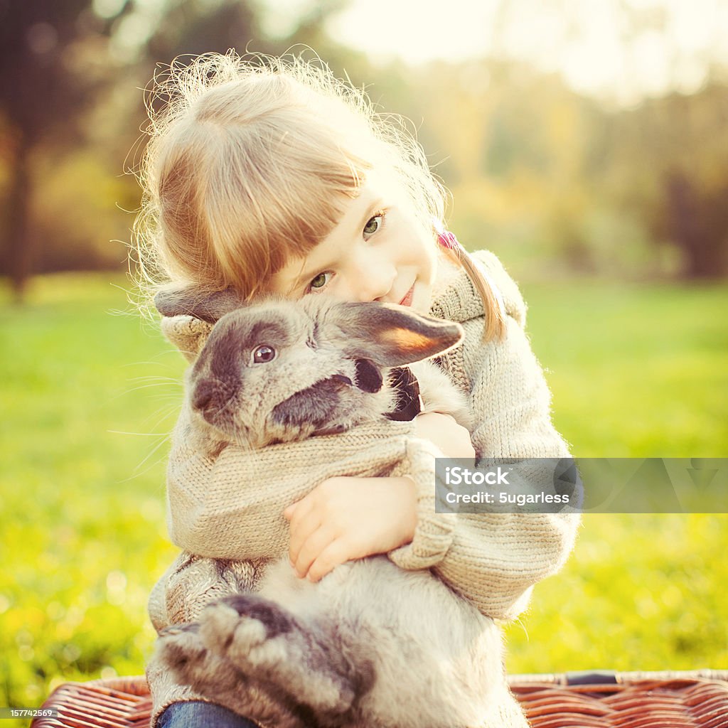 Little girl hugs a rabbit Little girl embraces a rabbit outdoors in a sunlight Rabbit - Animal Stock Photo