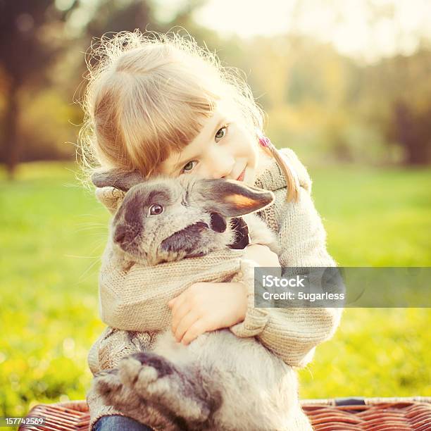 Little Girl Hugs A Rabbit Stock Photo - Download Image Now - Rabbit - Animal, Child, Girls
