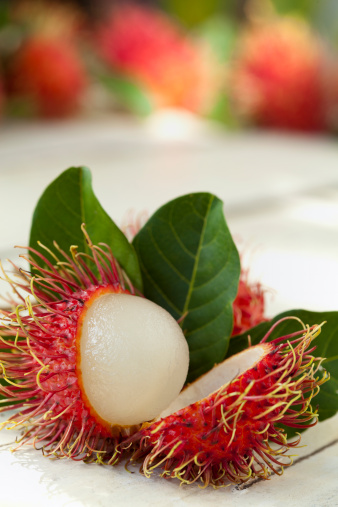 Rambutan (Sapindaceae) is a tropical plant originating from Southeast Asia