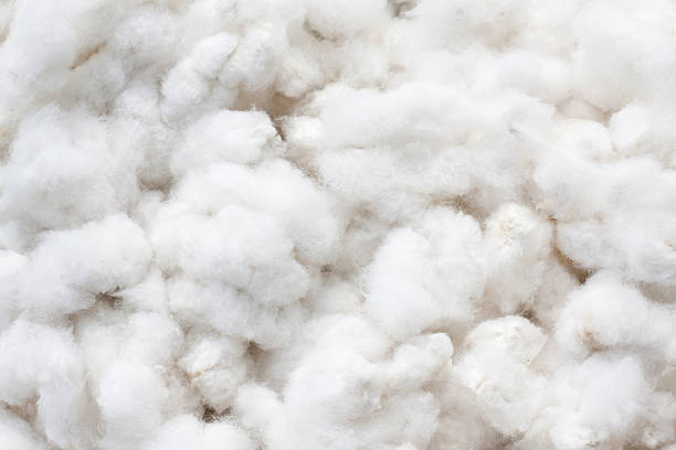 Raw Cotton Crops Raw cotton crops texture background cotton stock pictures, royalty-free photos & images