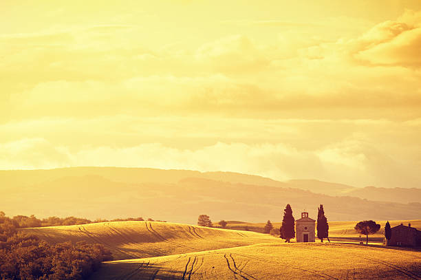 istock Sunny morning in Tuscany 157743091