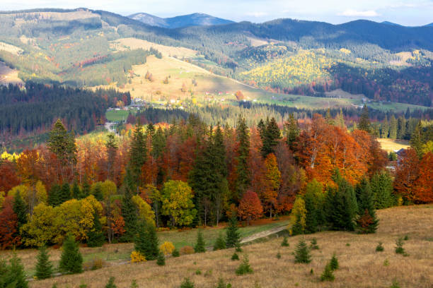 istock Autumn mountains in the sunshine 1577431818