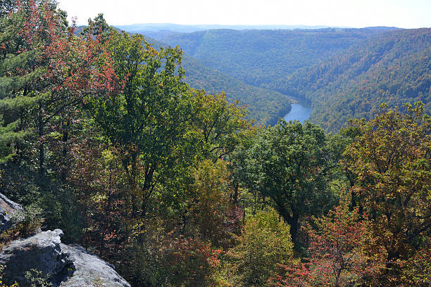 istock Scenery of Coopers Rock State Forest 157743334