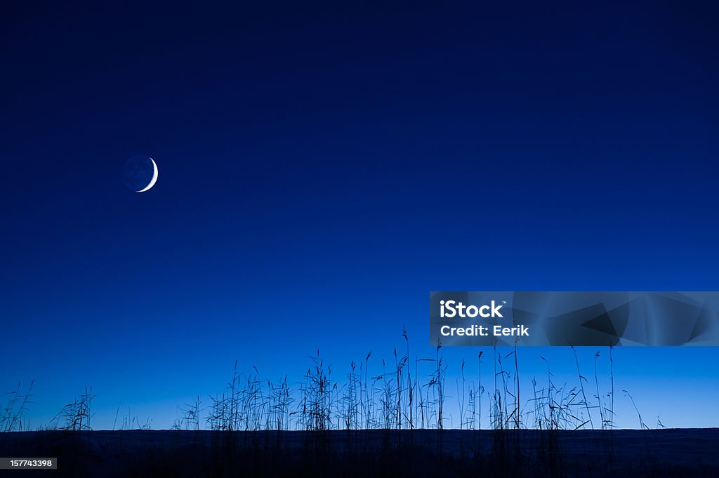 Crescent moon in the sky Crescent new moon in the blue twilight sky. Common reeds (Phragmites australis) in the foreground. Crescent Stock Photo