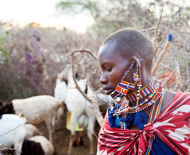 istock Beautiful young maasai woman with goats. 157743459