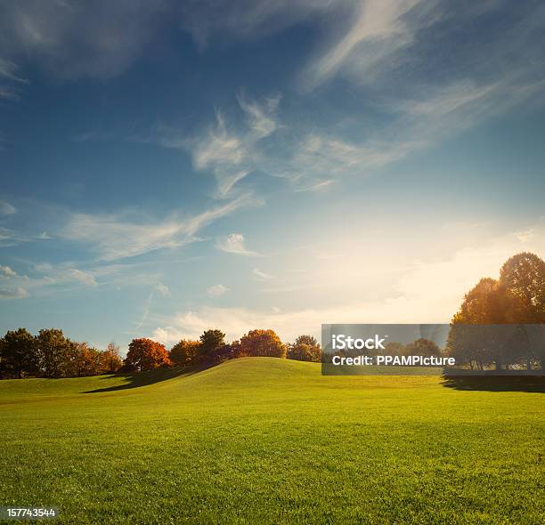 Photo libre de droit de Le Park banque d'images et plus d'images libres de droit de Parc naturel - Parc naturel, Automne, Paysage