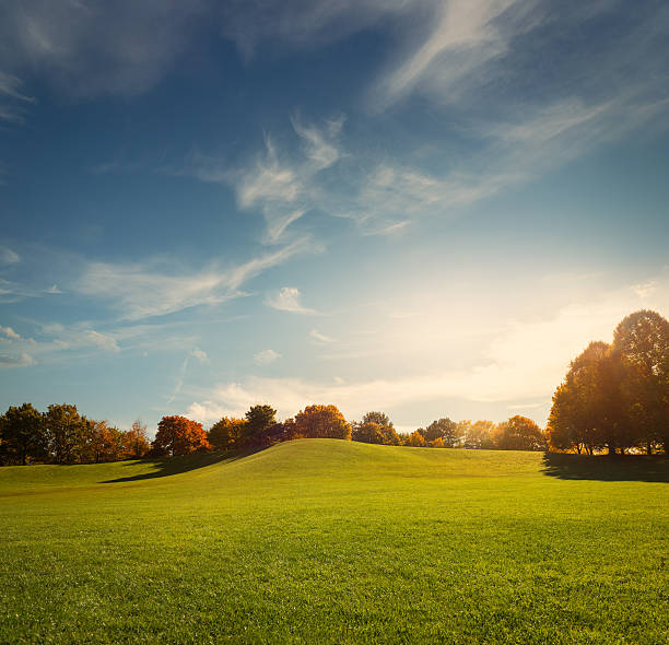 o parque - meadow cloudscape cloud landscaped imagens e fotografias de stock