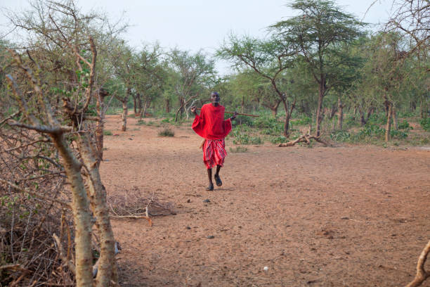 istock Old maasai in the African bush 157743694