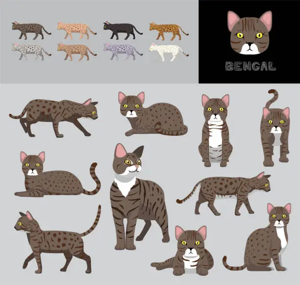 Vector illustration of Cat Bengal Brown Coat Cartoon Vector Illustration Color Variation Set