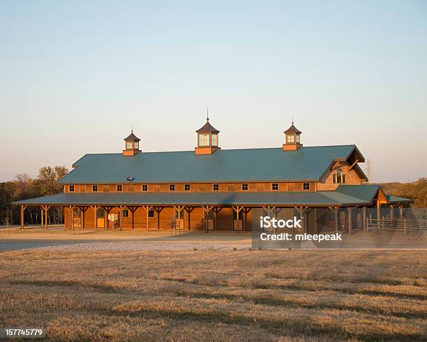 Il Barn - Fotografie stock e altre immagini di Cavallo - Equino - Cavallo - Equino, Oklahoma, Animale domestico