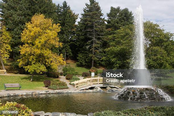 Parque De Cascata - Fotografias de stock e mais imagens de Bangor - Maine - Bangor - Maine, Maine, Parque público