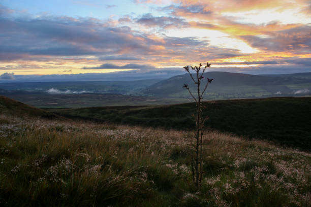 istock Sunrise in the dales 1577663814