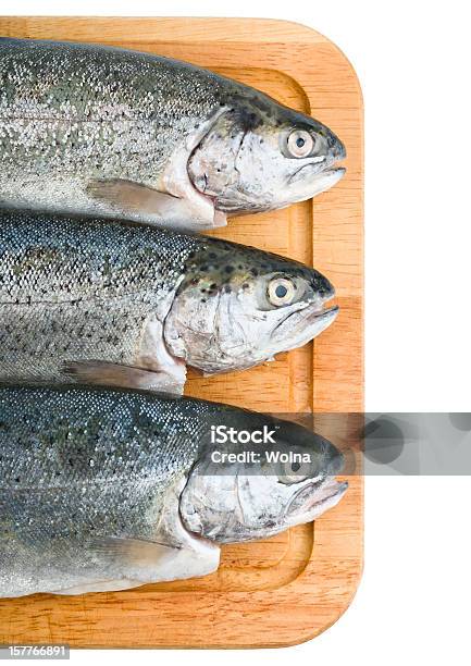 Três Truta Peixe Isolado Em Fundo Branco - Fotografias de stock e mais imagens de Branco - Branco, Comida, Cru