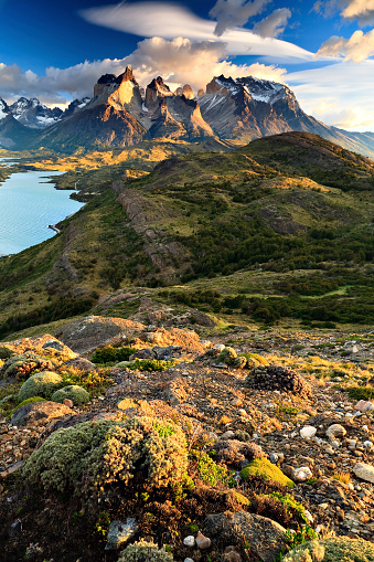 A wide-angle view of the Paine Massif, along with foothills and local vegetation. Parque Nacional Torres del Paine, Chile.