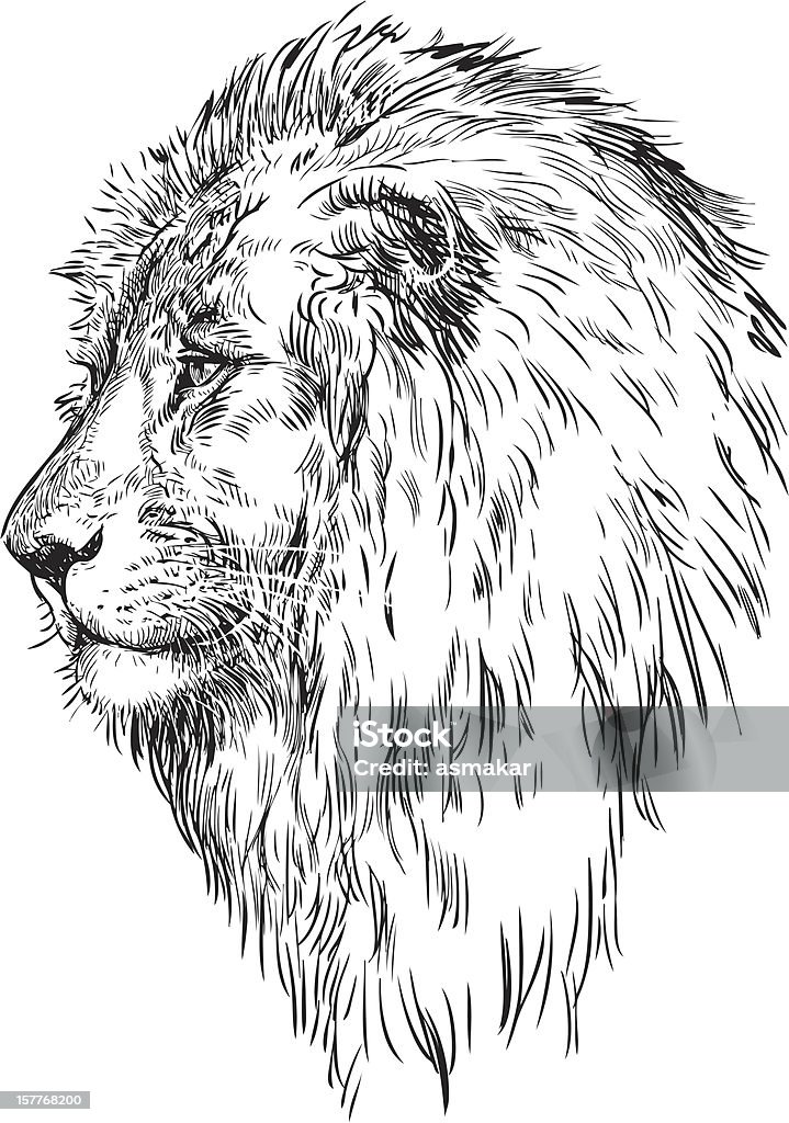 Profil eines Löwen - Lizenzfrei Profil Vektorgrafik