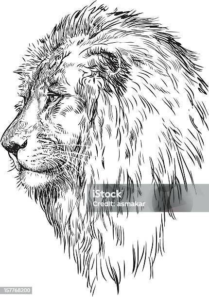 Profil Eines Löwen Stock Vektor Art und mehr Bilder von Profil - Profil, Freisteller – Neutraler Hintergrund, Großwild