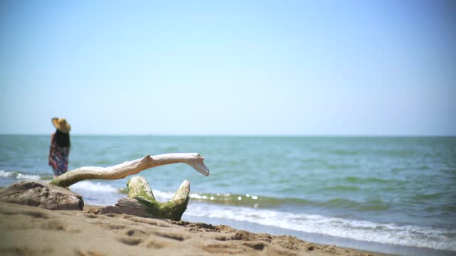 Romantic woman alone on the beach