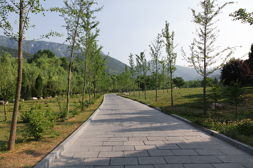 Chinese park natural landscape