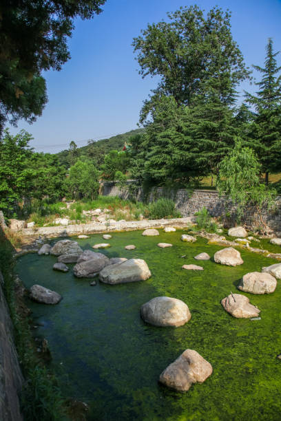istock Chinese park natural landscape 1577693987