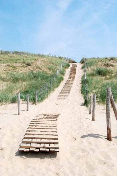 Way through the dunes stock photo