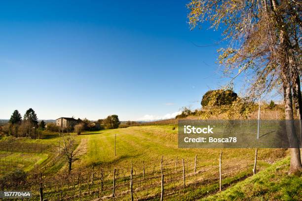 Photo libre de droit de Beau Vignoble Paysage Dans Le Nord De Litalie banque d'images et plus d'images libres de droit de Agriculture - Agriculture, Arbre, Automne