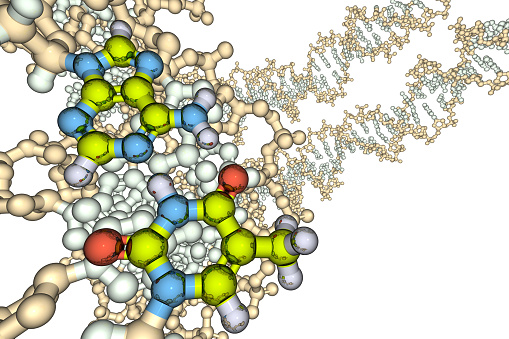 DNA A-T Pair