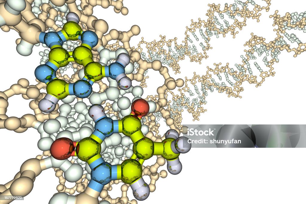 Model DNA Base Para - Zbiór zdjęć royalty-free (DNA)