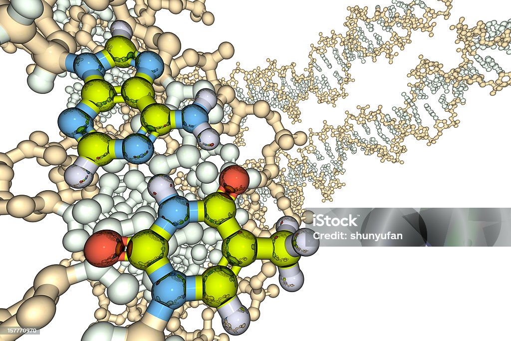 Образец ДНК базовой модели - Стоковые фото Дезоксирибонуклеиновая кислота роялти-фри