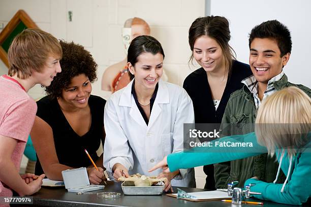 Photo libre de droit de Science De Classe banque d'images et plus d'images libres de droit de Laboratoire - Laboratoire, Niveau collège-lycée, Adolescent