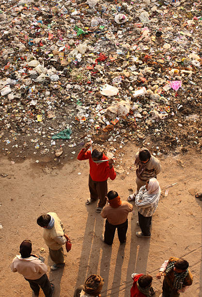 garbage in the forest