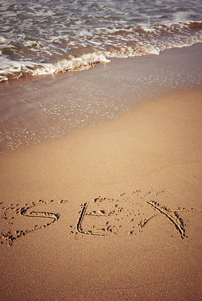 istock Sex on the Beach 157771203