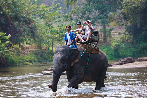 Chiang Mai Province, Thailand - April 3, 2010: Two western tourists enjoy a ride on an elephant during a trek through a typical Northern Thai landscape in Chiang Mai Province. They are escorted by a Thai Mahout who is riding the elphant also. They are seen here crossing a shallow river.